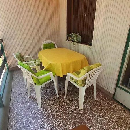 In - Balaton 31357 *