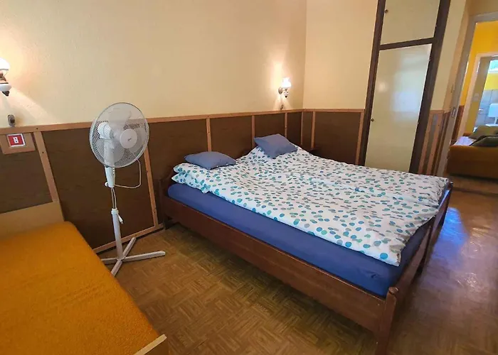 In - Balaton 31357 *